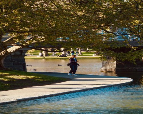 Person enjoying a calm walk in a sunny park